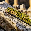 Armando Simoni Club Bologna Extra Pompeii II GT Pluma estilográfica