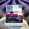 Armando Simoni Club Dreams Of Provence France Bespoke 2025 Caneta de tinta permanente