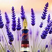 Armando Simoni Club Dreams Of Provence France Bespoke 2025 Caneta de tinta permanente