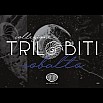 Aurora Trilobiti Collection Cobalto Demonstrator Stylo Plume