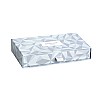 Caran d'Ache Ecridor Alpine Frost Special Edition Ballpoint Set
