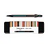 Caran d'Ache 849 Paul Smith Edition 5 Black Ballpoint