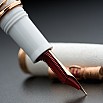 Delta Indigenous Simbu White Rose Gold LE RGT Fountain pen