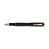 Delta Write Balance Black RGT Fountain pen