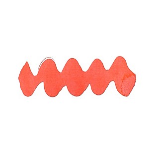 Diamine Forever Ink Coral Blaze 50ml Ink Bottle