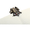 Esterbrook Tree Frog Page Clip