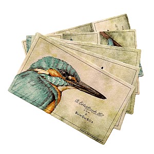 Esterbrook Kingfisher Bibuła Papierowa