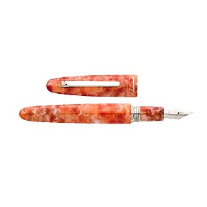 Esterbrook Estie Oversized Petrified Forest CT Fountain pen