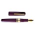 Esterbrook Model J Blackberry Ebonite GT Stylo Plume
