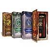 Ferris Wheel Press Harry Potter Gryffindor House Carousel Fountain pen & Ink Set