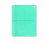 Filofax Domino Turquoise A5 Organizador