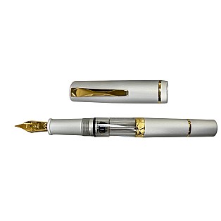 Gioia Luminosa Aluminium Grigio GT Fountain pen