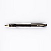 Kanwrite Mammoth Graphite Gold Ebonite GT reservoarpenna