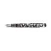 Leonardo Momento Zero Grande Eclipsis Sun RGT Fountain pen