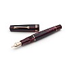 Leonardo Momento Zero Prugna RGT Fountain pen