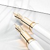 Montblanc Patron of Art Homage to Victoria and Albert - Albert 4810 Fountain pen MB1278450
