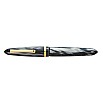 Montegrappa Venetia Pearl Grey Celluloid GT Fountain pen
