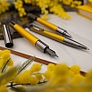 Monteverde Ritma Special Edition Mimosa Fountain Pen