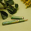 Nahvalur Nautilus Bronze Spring GT Stylo Plume