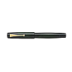 Namiki Aya Tokiwa Evergreen Fountain pen
