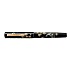 Namiki Yukari Chinkin Beauty of Autumn Leaves Fountain pen
