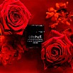 Otto Hutt Design Scented Ink Luna Eclipse Young Rose Tintenfass