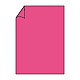 Fucsia 