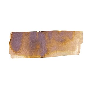 Frasco de 60 ml de tinta Troublemaker Inks Shading Sepia Hour