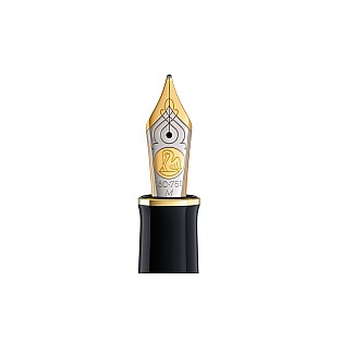 Pelikan M800 18kt Gold Bicolour Nib