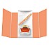 Pelikan Classic M200 Apricot Achat Special Edition Fountain pen