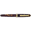 Platinum #3776 Century Celluloid Tortoise Fountain pen