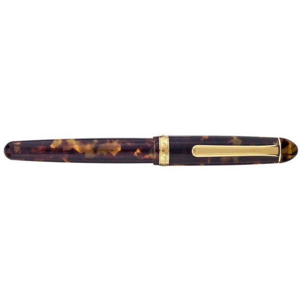 Platinum #3776 Century Celluloid Tortoise Fountain pen
