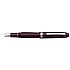 Platinum #3776 Century Bourgogne ST Fountain pen