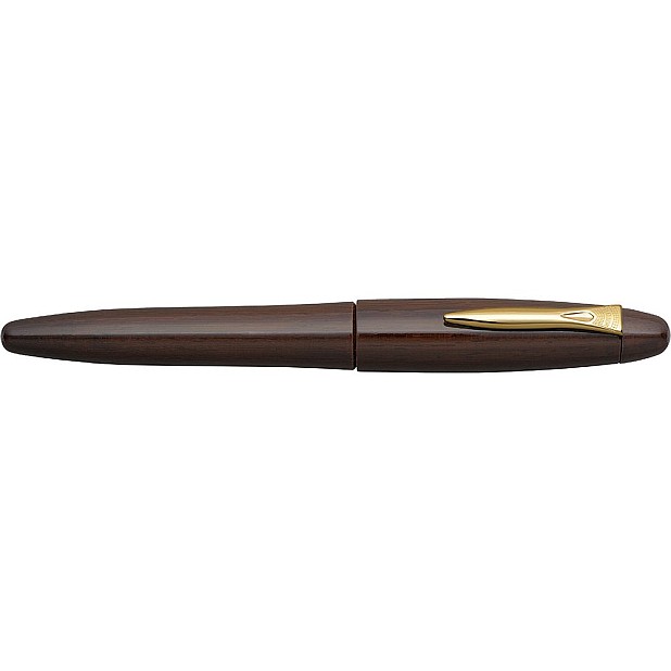 Platinum Izumo Tagayasan Gloss Fountain pen