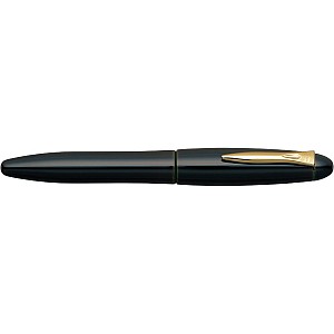 Platinum Izumo Soratame Fountain pen