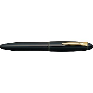 Platinum Izumo Soratame Fountain pen