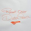 Robert Oster Signature Ink Dutch Pen Show 2020 Exclusive Ink Bottle