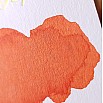 Robert Oster Signature Ink Dutch Pen Show 2020 Exclusive Ink Bottle