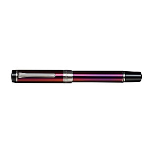 Sailor Cylint Lantana Stainless Steel Fountain pen