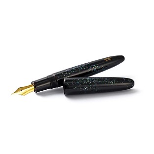 Sailor 1911 King of Pens Tamenuri Raden Nami Fountain pen