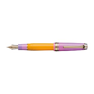 Sailor Pro Gear Regular Smoothie #2 Acai Berry LE GT Fountain pen