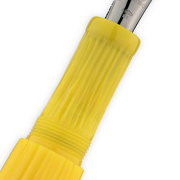 Scribo La Dotta Studiorum Vulpen