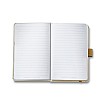 Sheaffer 100 Emily in Paris Champagne Gold GT Esferográfica and Notebook Set
