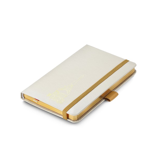 Sheaffer 100 Emily in Paris Champagne Gold GT Balpen and Notebook Set