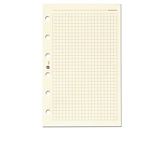 Succes Refill Standard Cream Squared Notepaper