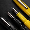 Scribo La Dotta Studiorum Vulpen