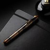 Namiki Yukari Royale Night Scene Fountain pen