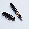 Ulpia 117 Ebonite Special 2023 Black GT Fountain pen