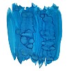 Van Dieman's Birds Of A Feather - Blue Jay Crown 30ml Inktpot
