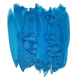 Van Dieman's Birds Of A Feather - Blue Jay Tail 30ml Bouteille d'encre